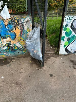 Image of Graffitti and Rubbish